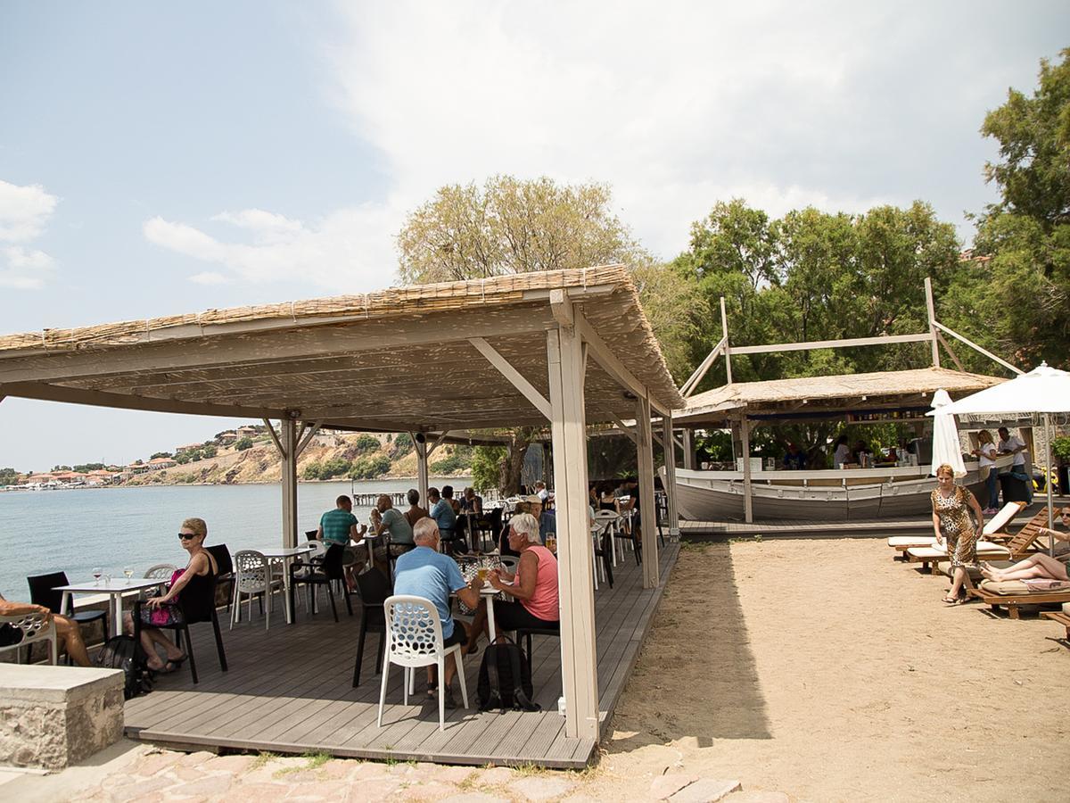 Olive Press Hotel & Apartments Μήθυμνα Εξωτερικό φωτογραφία