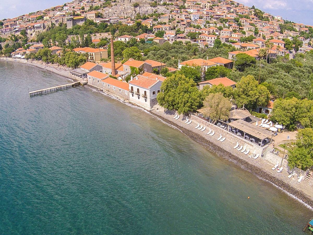 Olive Press Hotel & Apartments Μήθυμνα Εξωτερικό φωτογραφία
