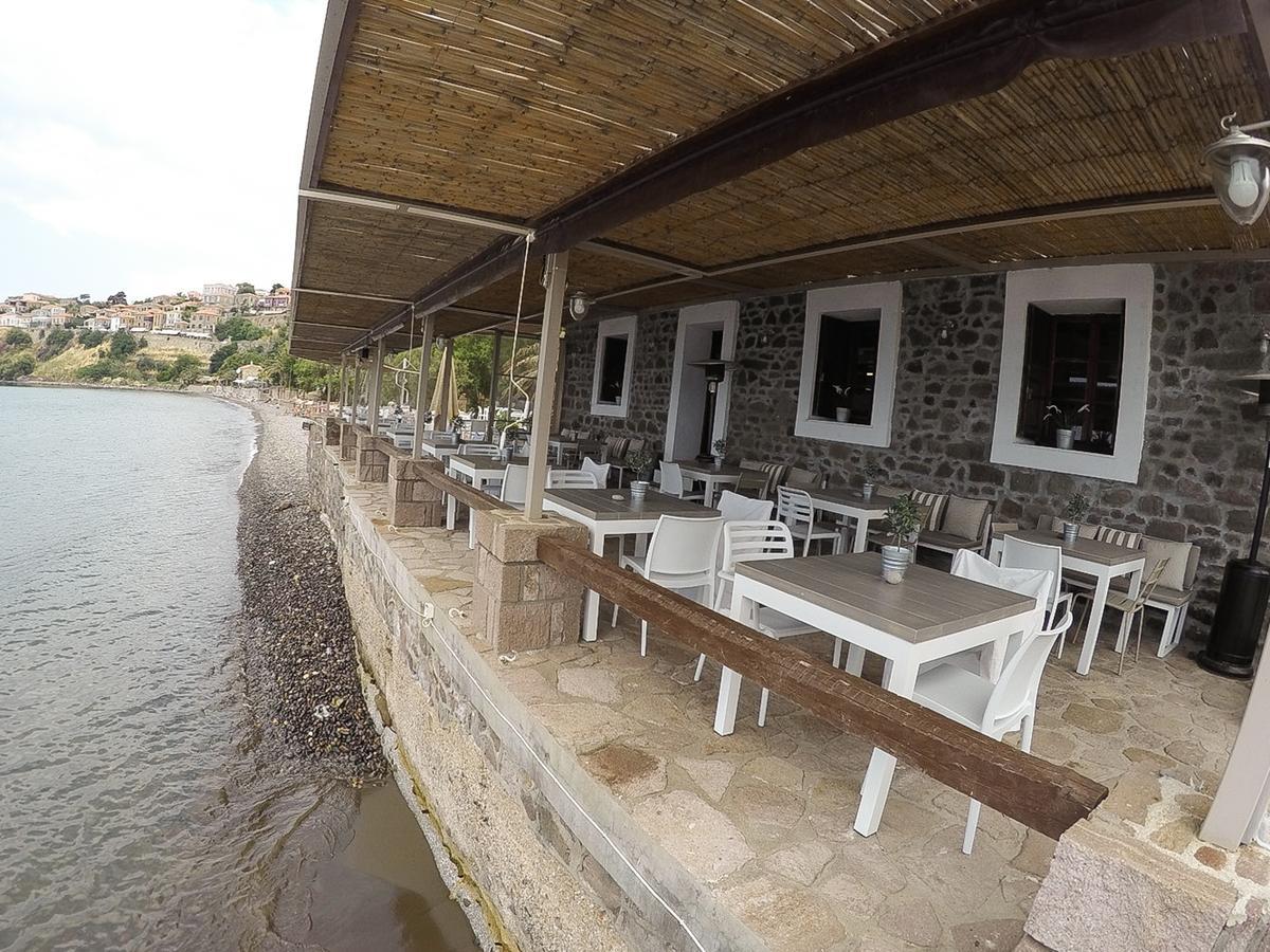 Olive Press Hotel & Apartments Μήθυμνα Εξωτερικό φωτογραφία