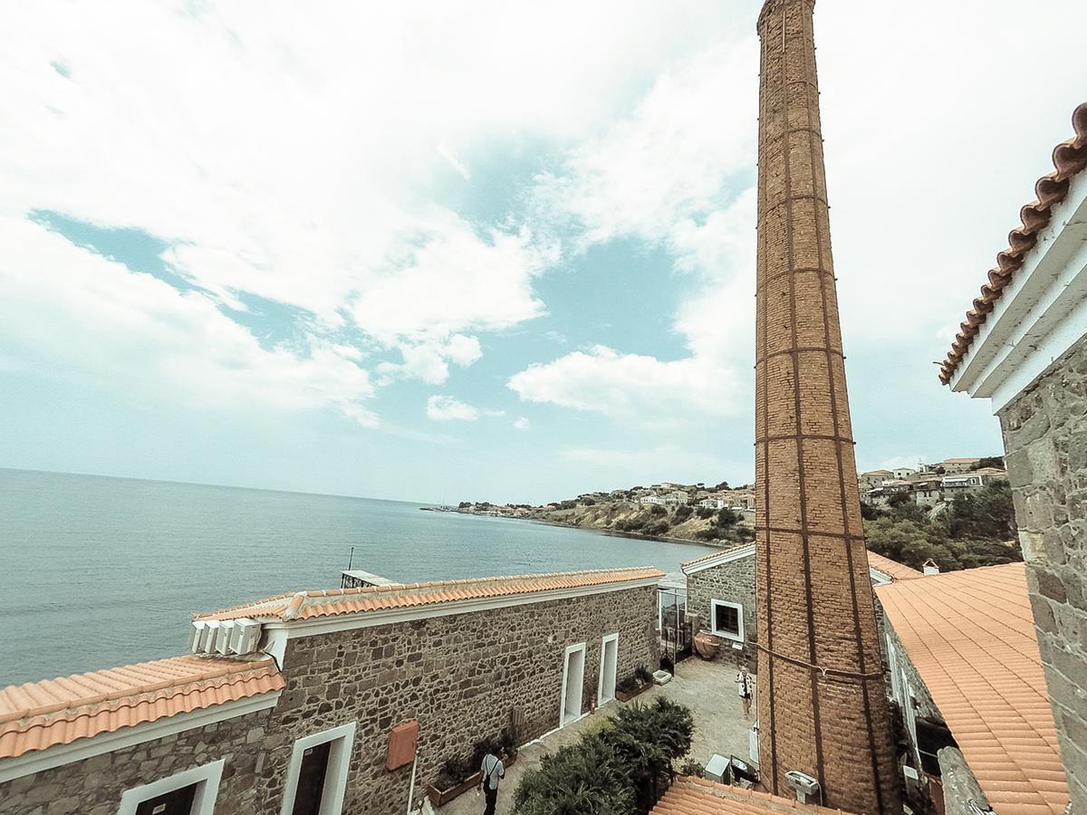 Olive Press Hotel & Apartments Μήθυμνα Εξωτερικό φωτογραφία