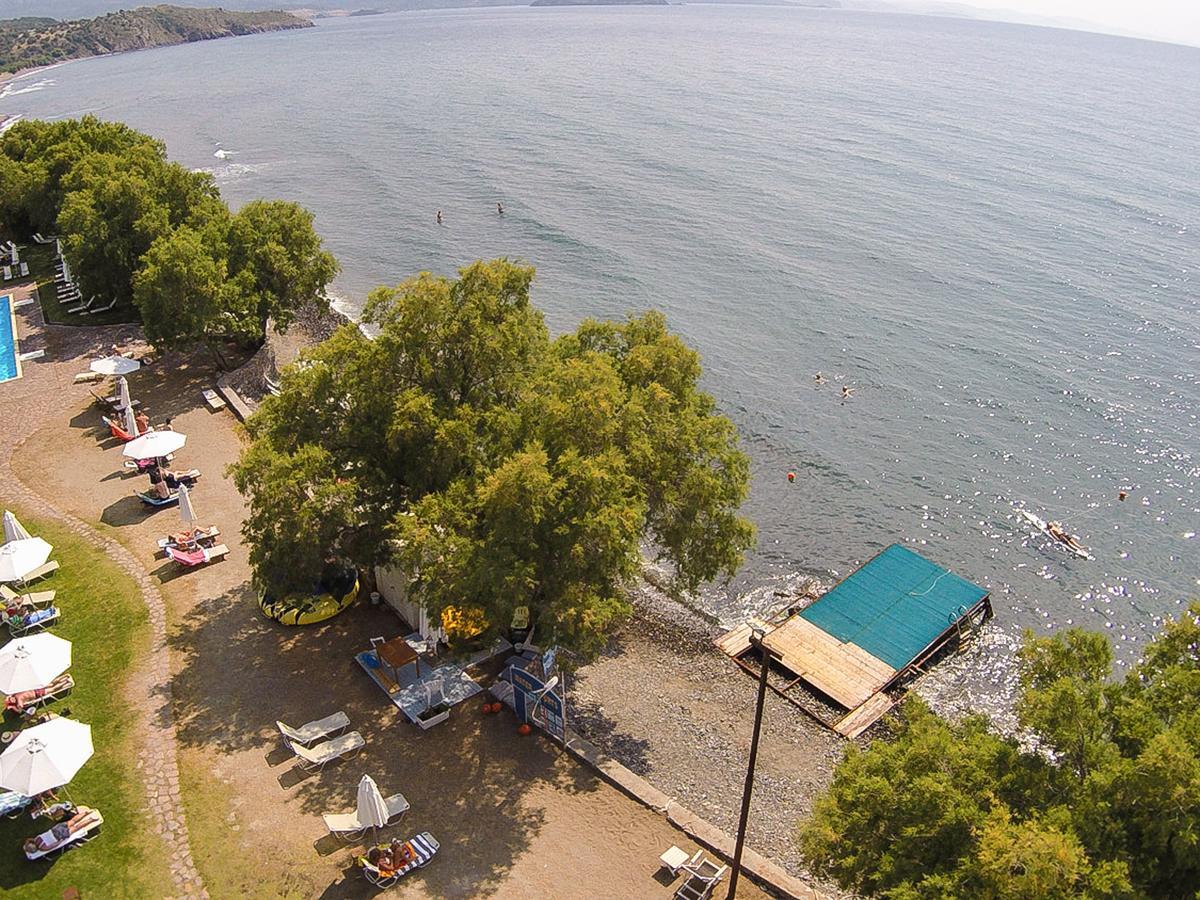 Olive Press Hotel & Apartments Μήθυμνα Εξωτερικό φωτογραφία